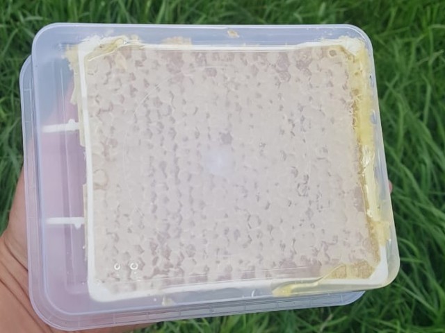 Рамки под секционный сотовый мёд